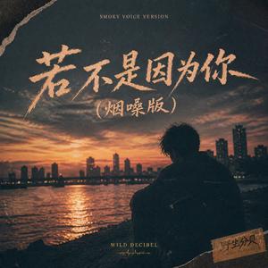 若不是因为你(烟嗓版)