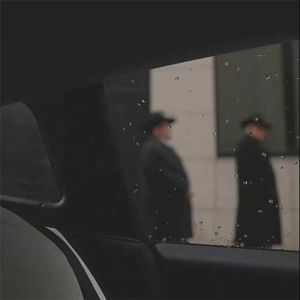 《落叶前的人生抉择》