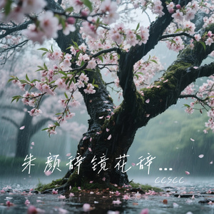 朱颜辞镜花辞树