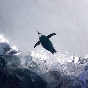 十一楼日记(cover.宇珩)