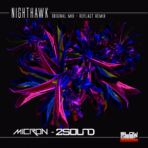 Nighthawk (Reflact Remix)