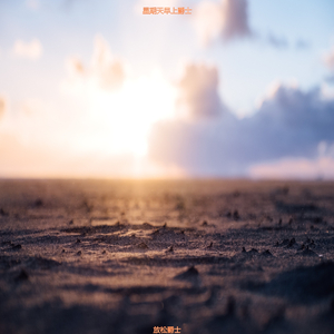 适合按摩抚慰的音乐