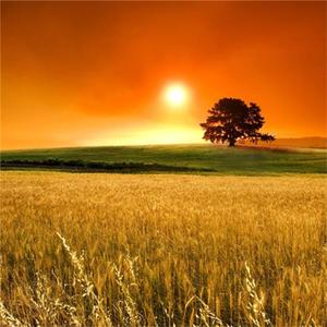 转身即心痛（深情版）