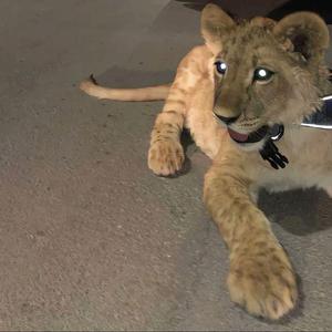 孤独症(Demo)_Harlotte_2022-04-02_193011