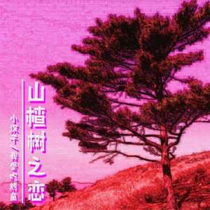 大能人-山楂树之恋remix（小汉子 / 小鱼妹儿 remix）