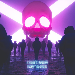 I Don't Know How To Feel