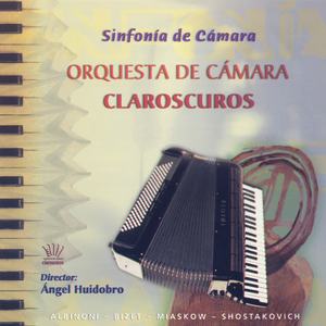 Sinfonía de Cámara, Op. 110 B: Largo