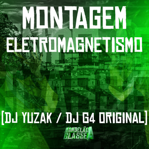 Montagem Eletromagnetismo