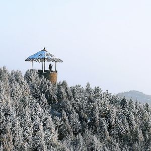 我们的罗曼蒂克