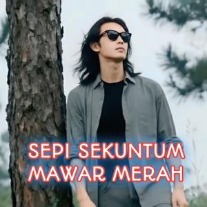 Sepi Sekuntum Mawar Merah (feat. Fvnki)