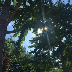 C大调婚礼进行曲