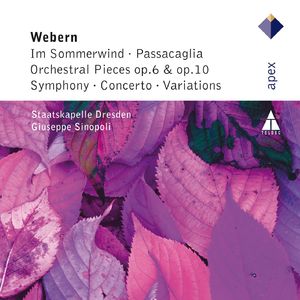 Passacaglia Op.1:I Sehr mässig
