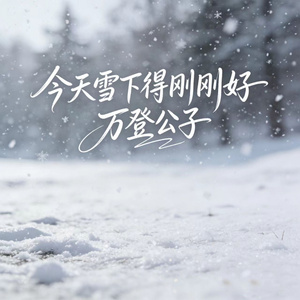 今天雪下得刚刚好