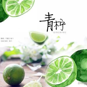 青柠（翻自 徐秉龙）