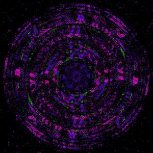 Wyrmwood (feat. YVNGSWITCHBLADE)