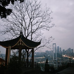 爱不需要说谎