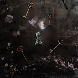 L'OMBRE DES OiSEAUX (feat. Bourricot)