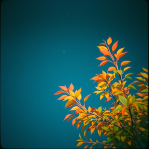 見えてるものだけがすべてじゃない 心の奥に光はずっとある 弱さを責めなくていいんだよ