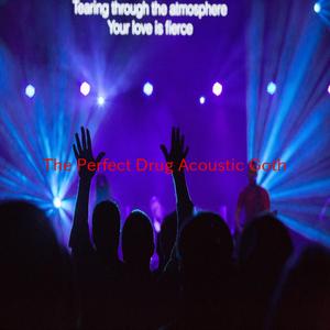 The Perfect Drug (Acoustic Goth) (Instrumental version originally performed by Nine Inch Nails)