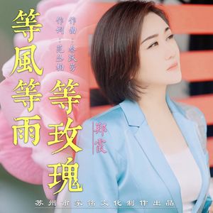 等风等雨等玫瑰