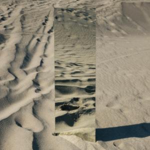 Timeless Reflections