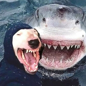 浪漫可抵岁月漫长. 