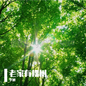 老家有棵树（2024）