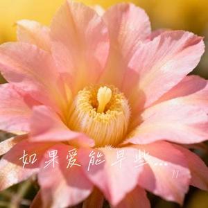 请先说你好 (Cover 贺一航)