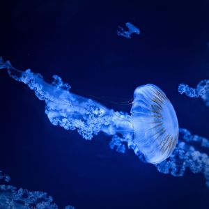 【FREE】Angel sad type beat