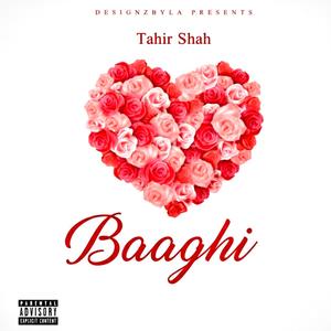 Baaghi