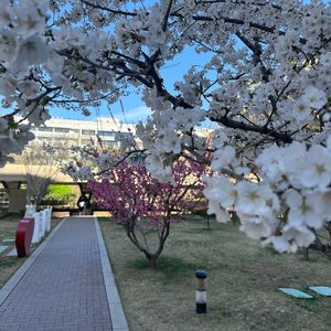 BFU Spring Melodies
