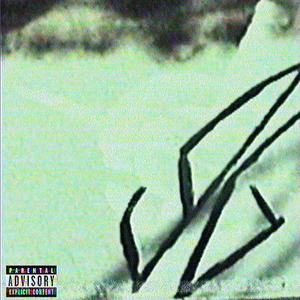 nosuicide (feat. wrshiptern)