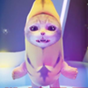 夺冠放纵了自己(香蕉猫)