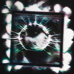 Снег на руках