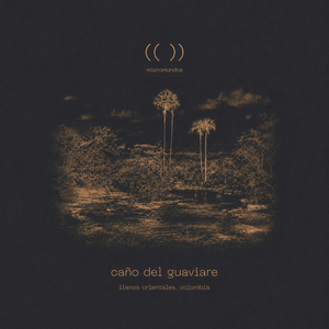 Morichal — Caño del Guaviare Binaural Noonscape