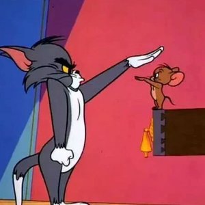 汤姆的梦中情猫