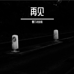 再见（零几年的傲 remix）