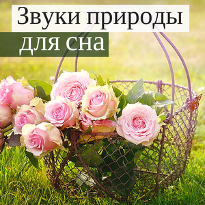 Гармонизация