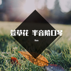 萱草花 半音阶口琴