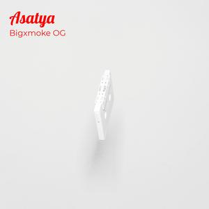 Asatya