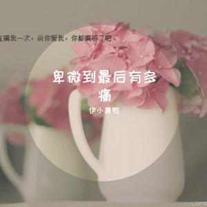 卑微到最后有多痛（翻自 夏婉安）