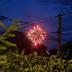 bleib (nie so verliebt)