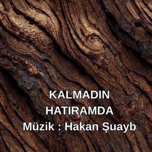 Kalmadın Hatıramda - Enstrümantal