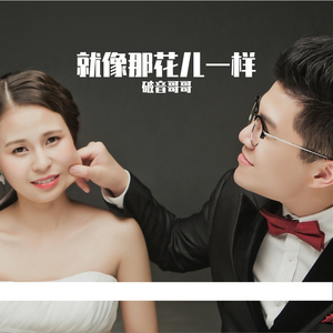 就像那花儿一样