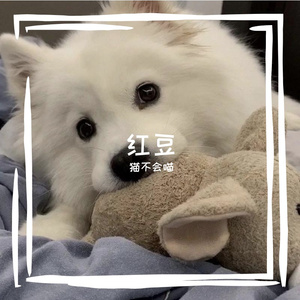 红豆（翻自 要不要买菜）