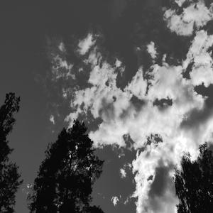 Lohduttomat keltaiset silmäni