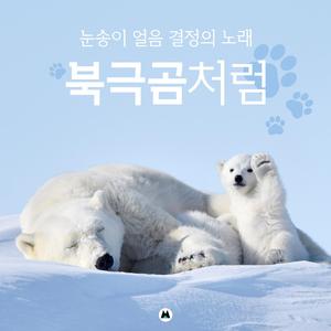 북극곰처럼