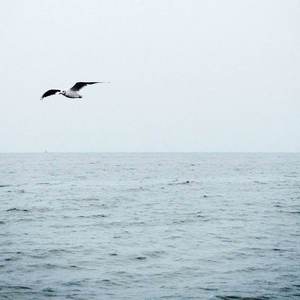 理想三旬（Cover 陈鸿宇）