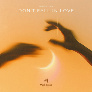Don't Fall in Love