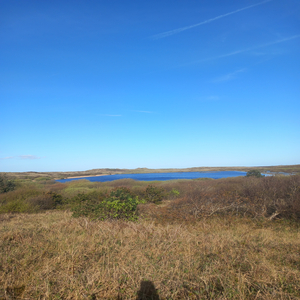 Stilte Voor De Storm